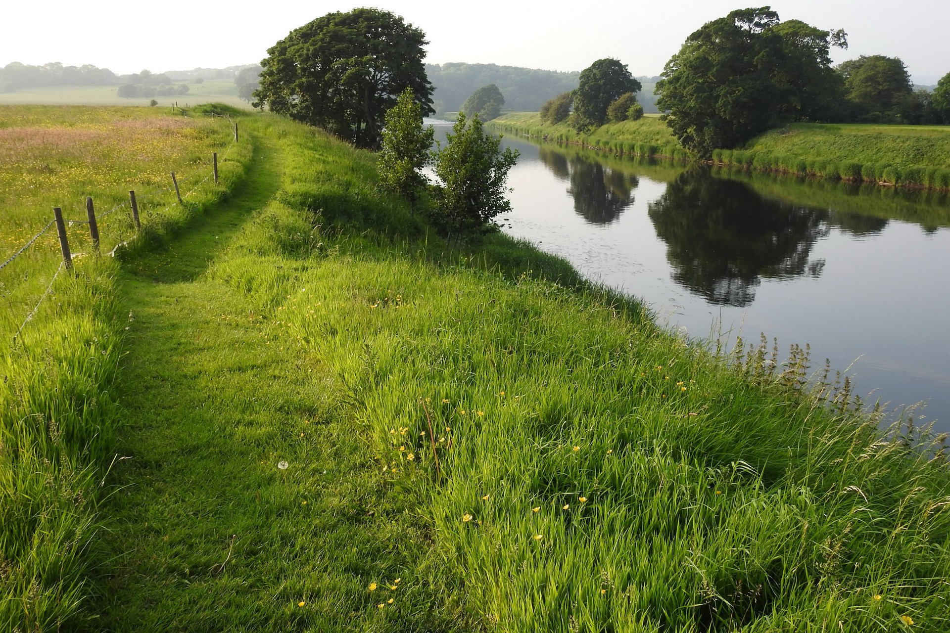 natur sommer großbritannien fluss gras gehweg