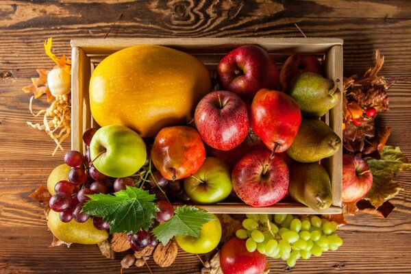 Herbstcollage aus Früchten und Beeren