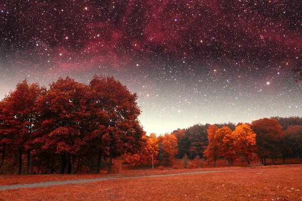 Photo créative de l automne rouge