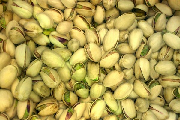 Nueces, pistachos, nueces saladas