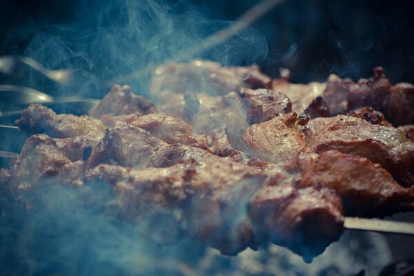 Dymny kebab na szaszłykach z bliska