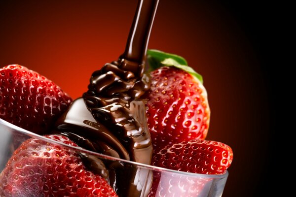 Fresas cubiertas de chocolate para los seres queridos