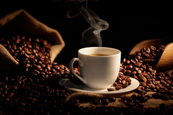 Filiżanka gorącej kawy wśród ziaren kawy