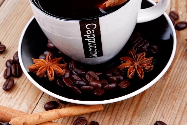 Cappuccino with cinnamon and star anise in a cup