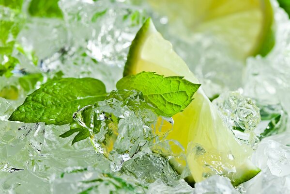 Foglie di lime e menta in frammenti di ghiaccio