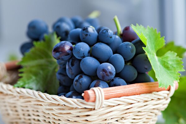 Un racimo de deliciosas uvas negras