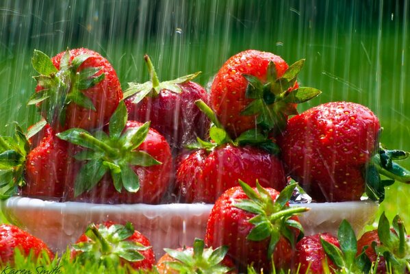 On the lawn, a plate of strawberries in the rain