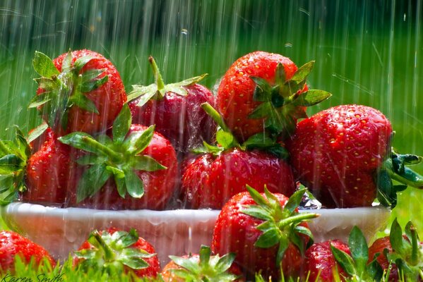 Sur une assiette de pelouse avec des fraises sous la pluie