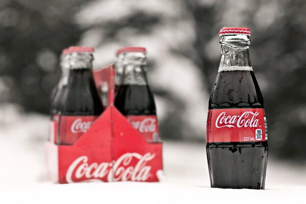 Coca-Cola-Flaschen im Schnee