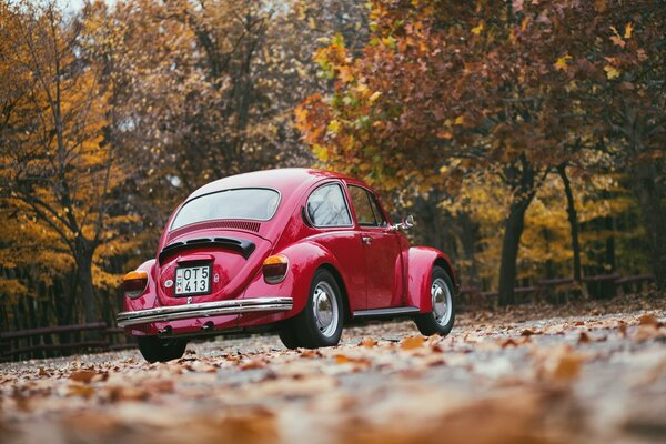 Retro Volkswagen on the background of colorful autumn leaves