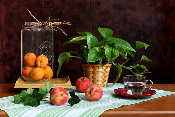 Modern still life of peaches, apricots and a bowl of water