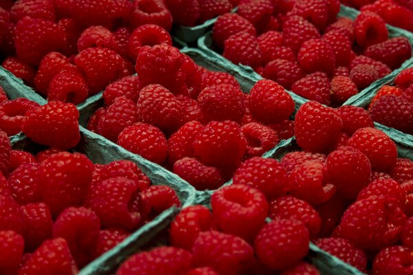 Petits contenants en papier contenant des framboises rouges