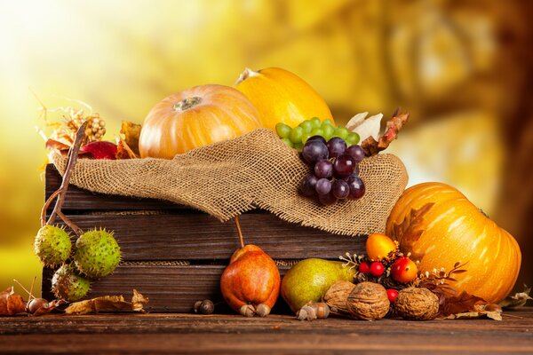 Calabazas de cosecha de otoño en una Caja