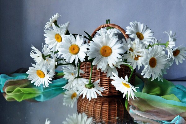 Blumenstrauß aus Gänseblümchen in einem Strickkorb