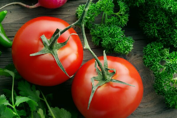 Pomodori sui rami il più delizioso questo è il pomodoro