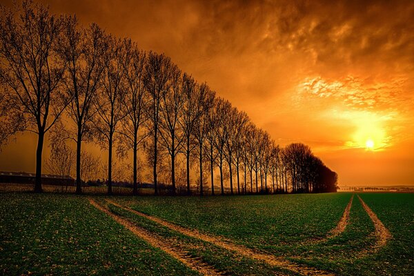 Naranja atardecer de verano sobre el sendero en el campo