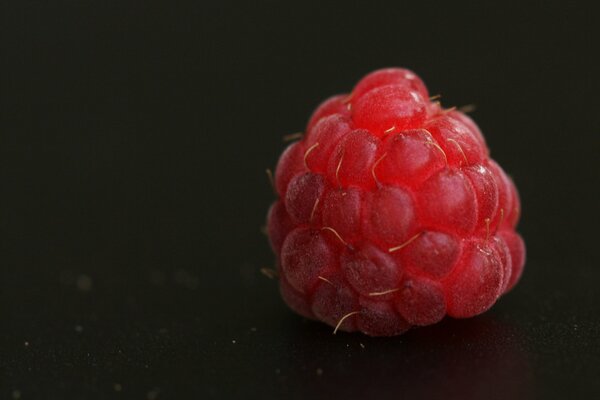 Rouge framboise sur fond sombre