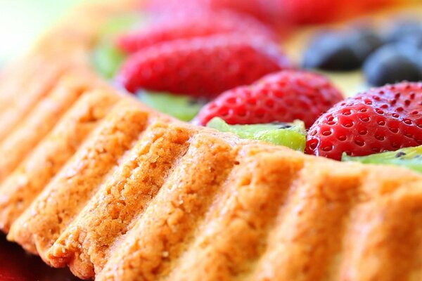 Duftender Kuchen aus Beeren und Kiwi aus der Konditorei Naschkatze 