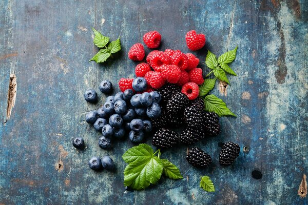 Illustrazione di frutti di bosco su sfondo blu