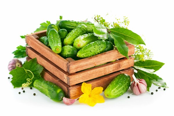 Cucumber harvest box, decorated with garlic, dill and bay leaf