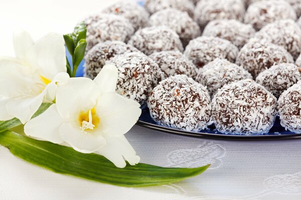 Chocolate candies in coconut chips