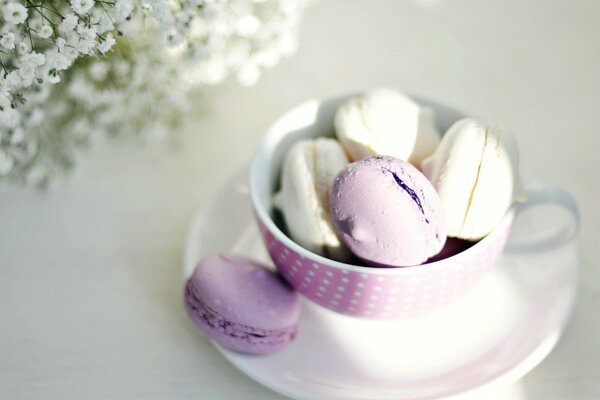 A saucer with a cup. Macaroon lilac and white