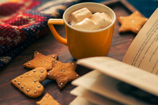 Noche de invierno. Taza de cacao con libro