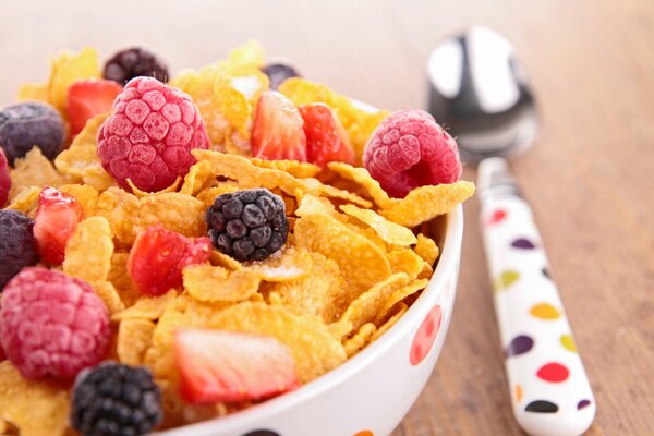 Cereal with berries in a plate