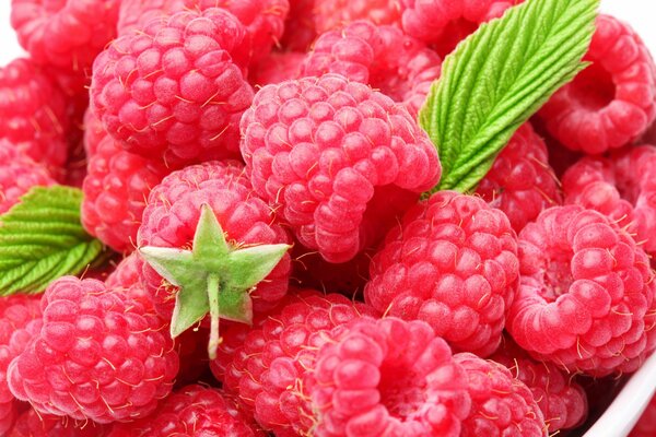 Fresh, selected, delicious raspberries