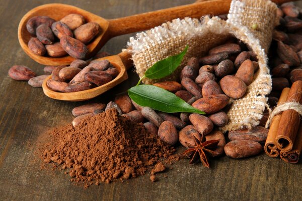 Cocoa beans and star anise leaves