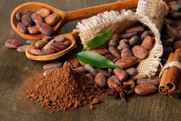 Fèves de cacao et feuilles de badiane