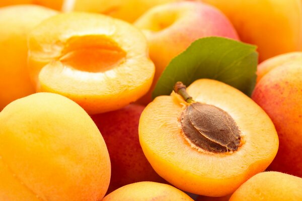 Apricot mood and the beauty of nature