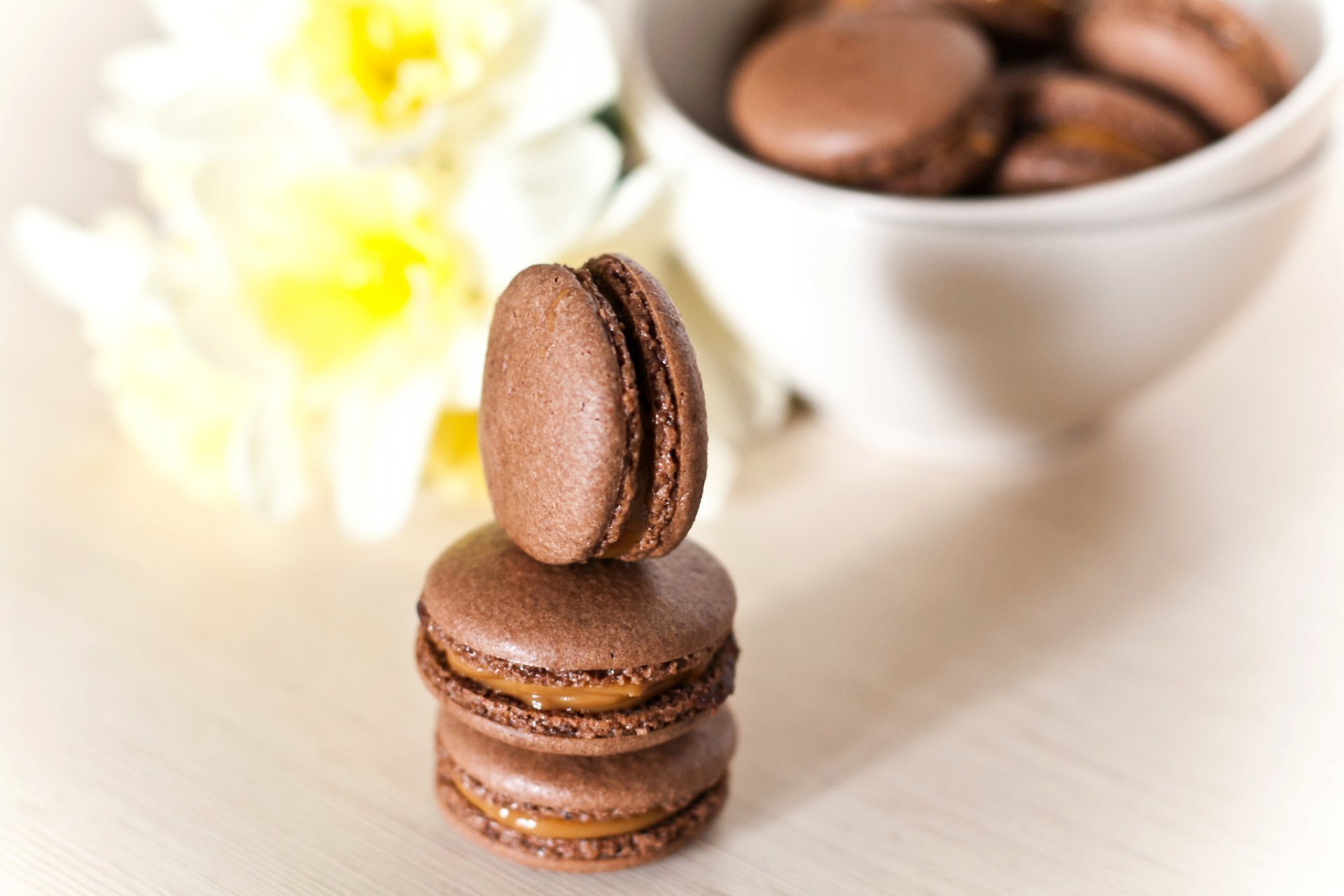 macaron kekse schokolade dessert süßigkeiten teller blumen narzissen