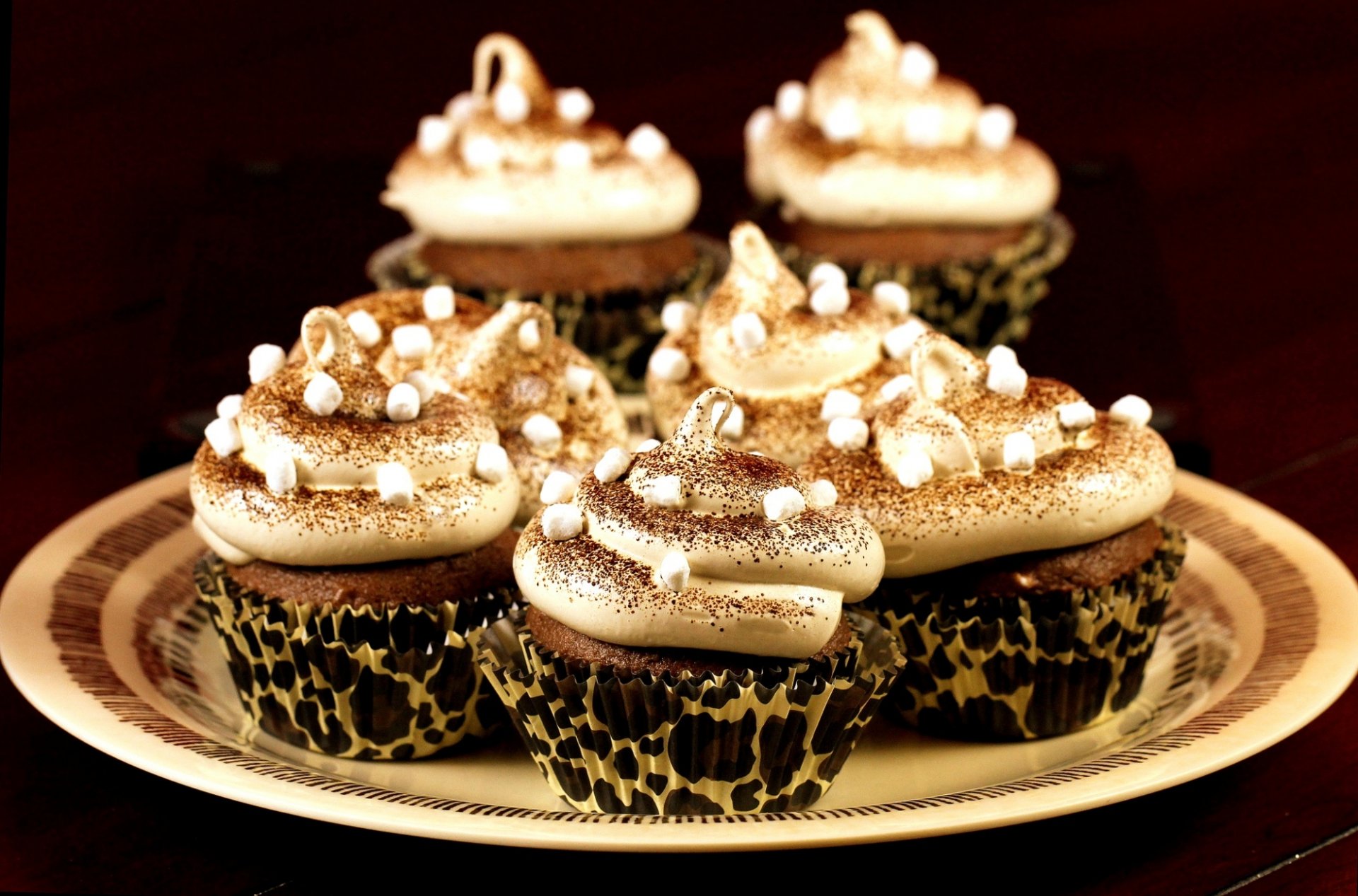 cream cupcakes chocolate powder marshmallows dessert dish