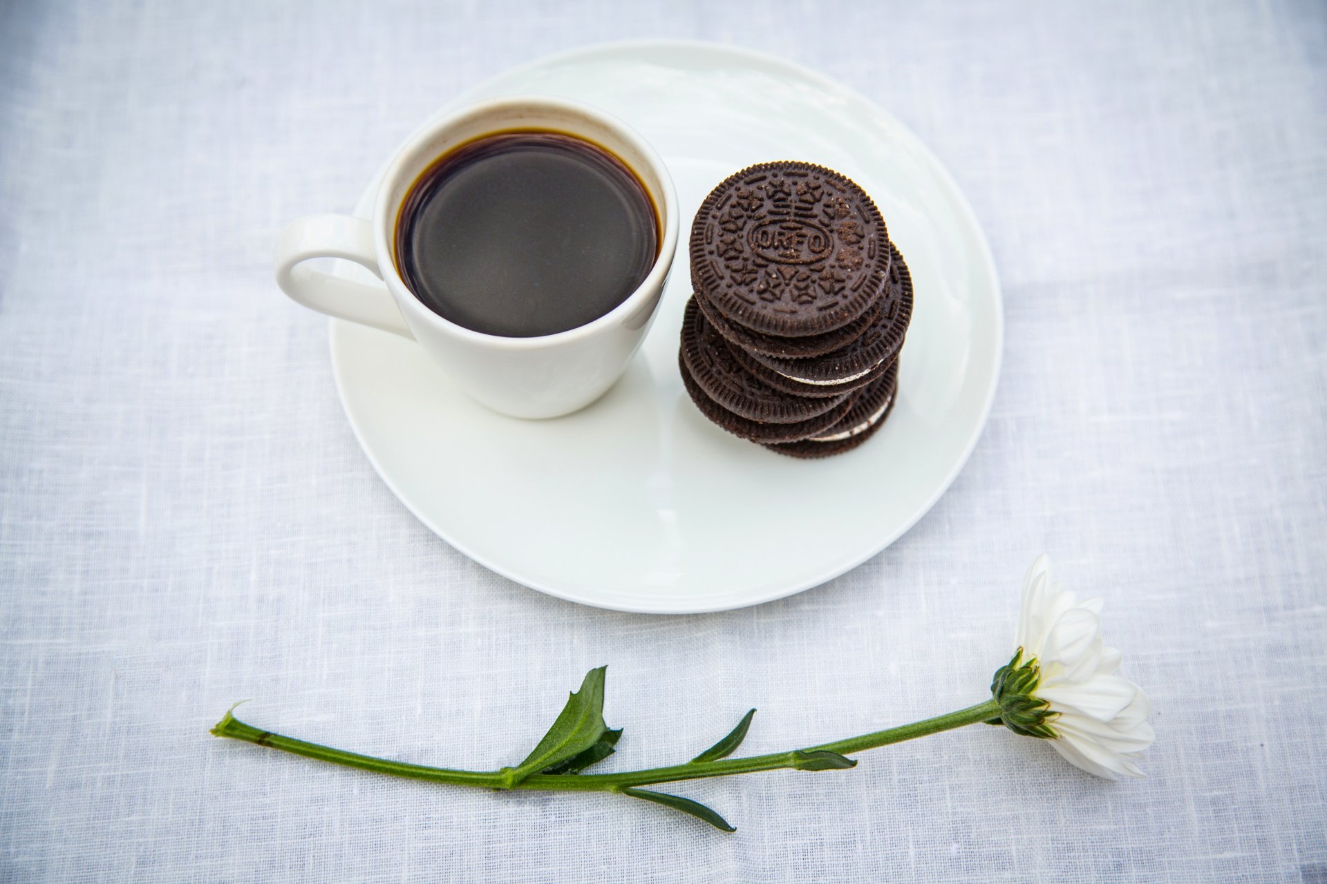 ciasteczka oreo filiżanka kawa spodek stokrotka kwiat stół