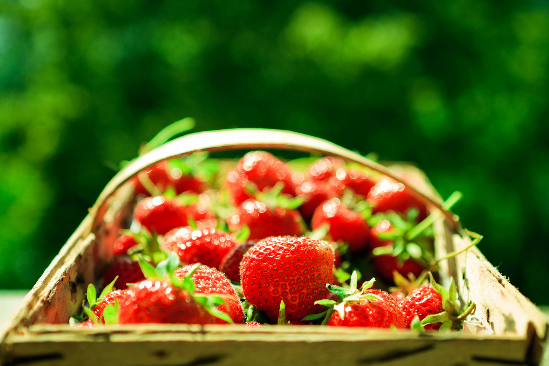 fraise panier panier baies rouge macro fond verdure