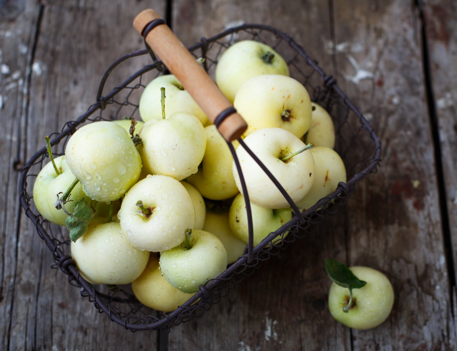 äpfel früchte korb ernte herbst julia husainova