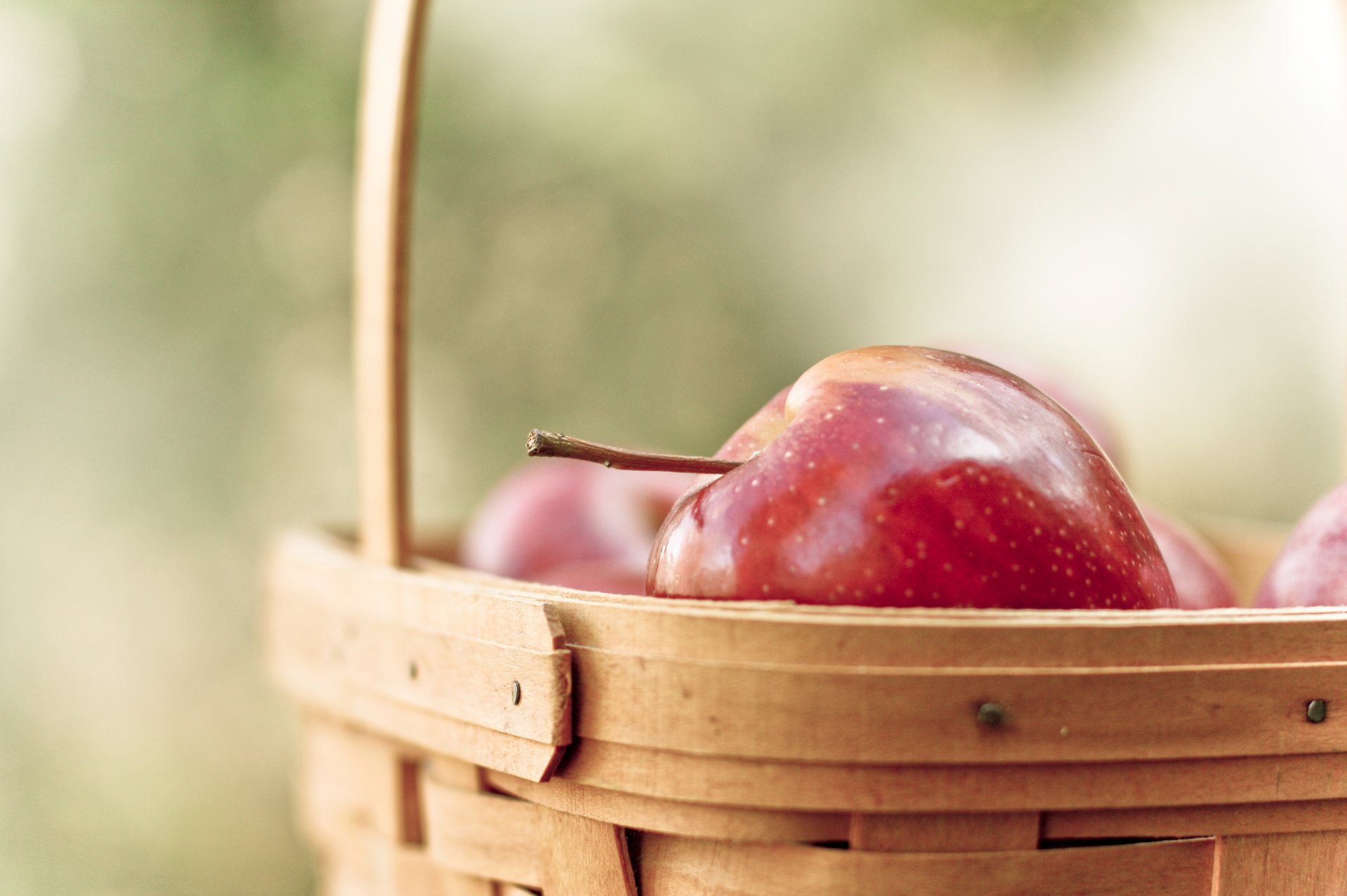 cibo frutta frutta mela mele rosso macro cestino cestino sfocatura sfondo carta da parati widescreen schermo intero widescreen widescreen