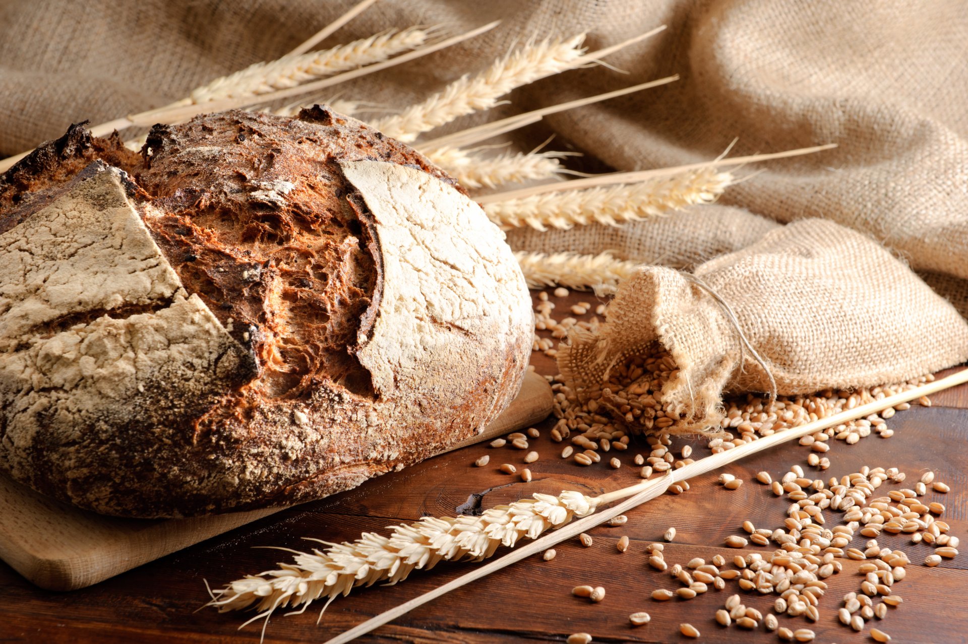 brot roggen ährchen weizen getreide