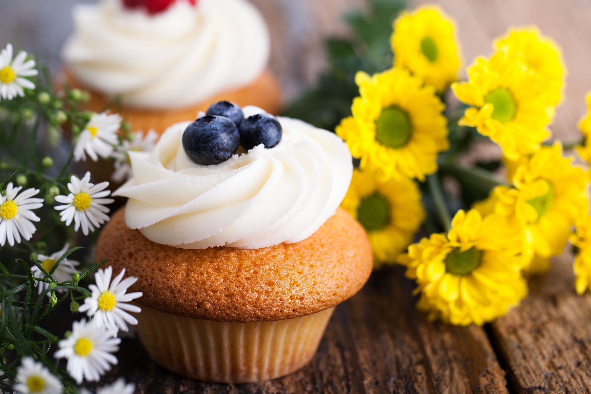 cupcake backen dessert süßigkeiten creme beeren blaubeeren blumen gänseblümchen