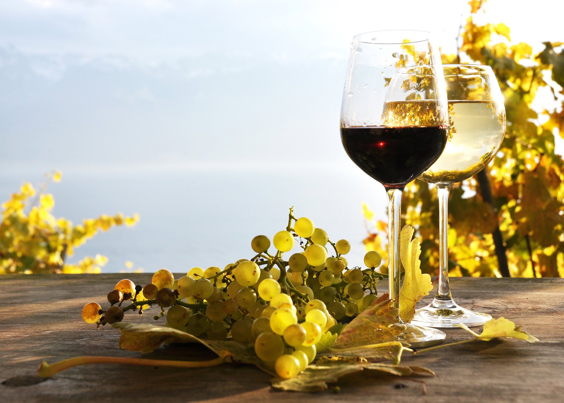 wine white red grapes leaves table vineyard