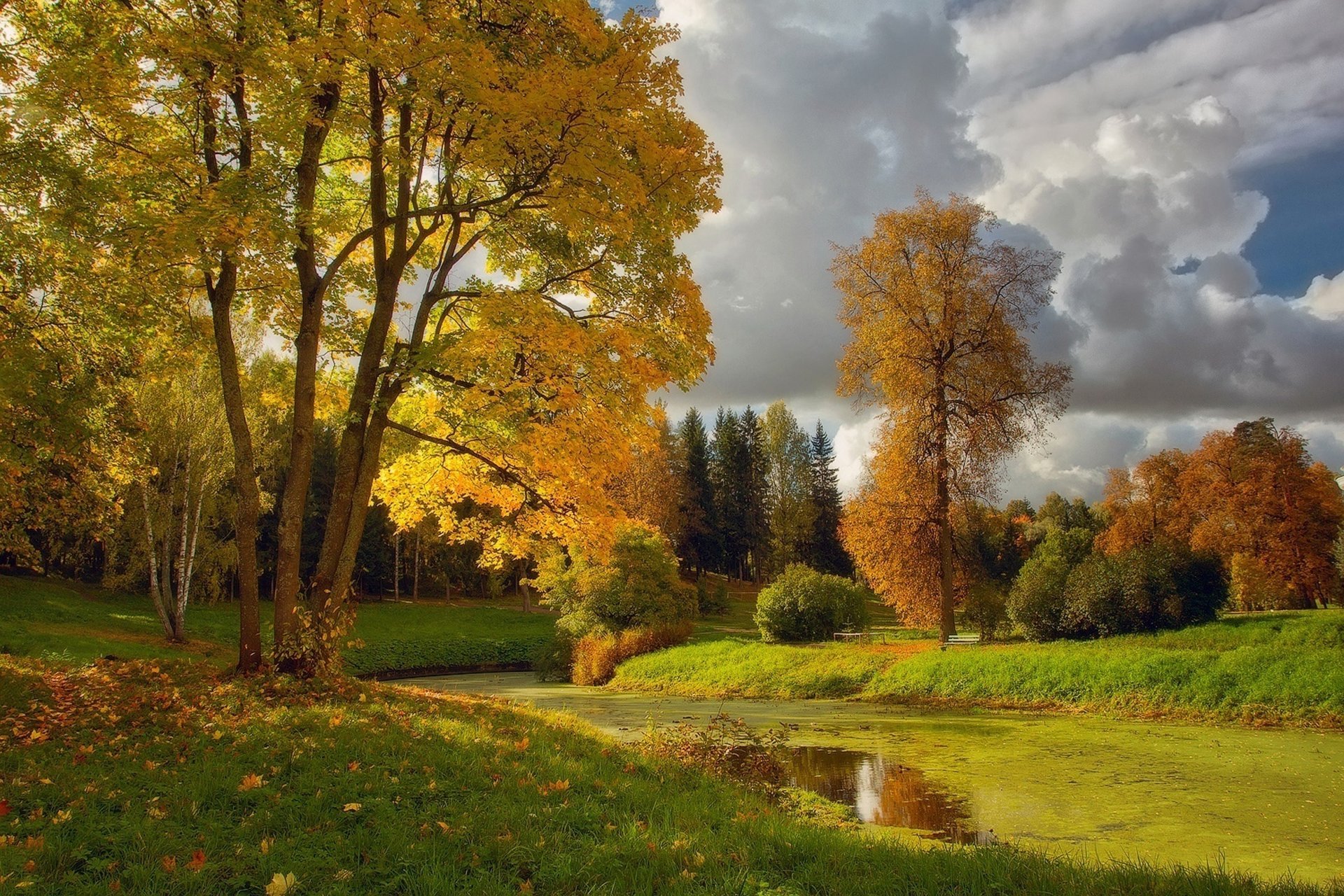 autunno albero fiume erba nuvole