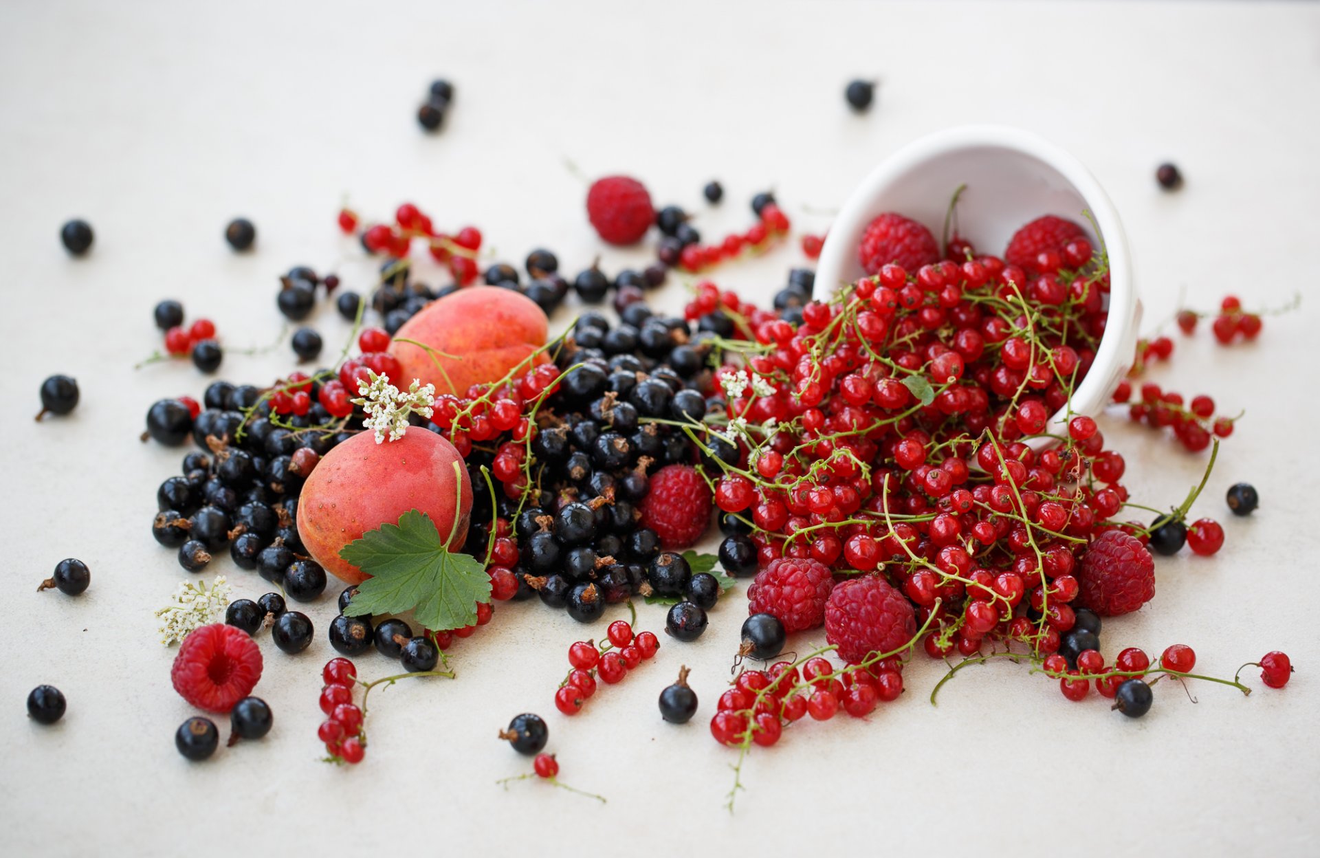 johannisbeere rot schwarz himbeere beeren früchte nektarine julia husainova