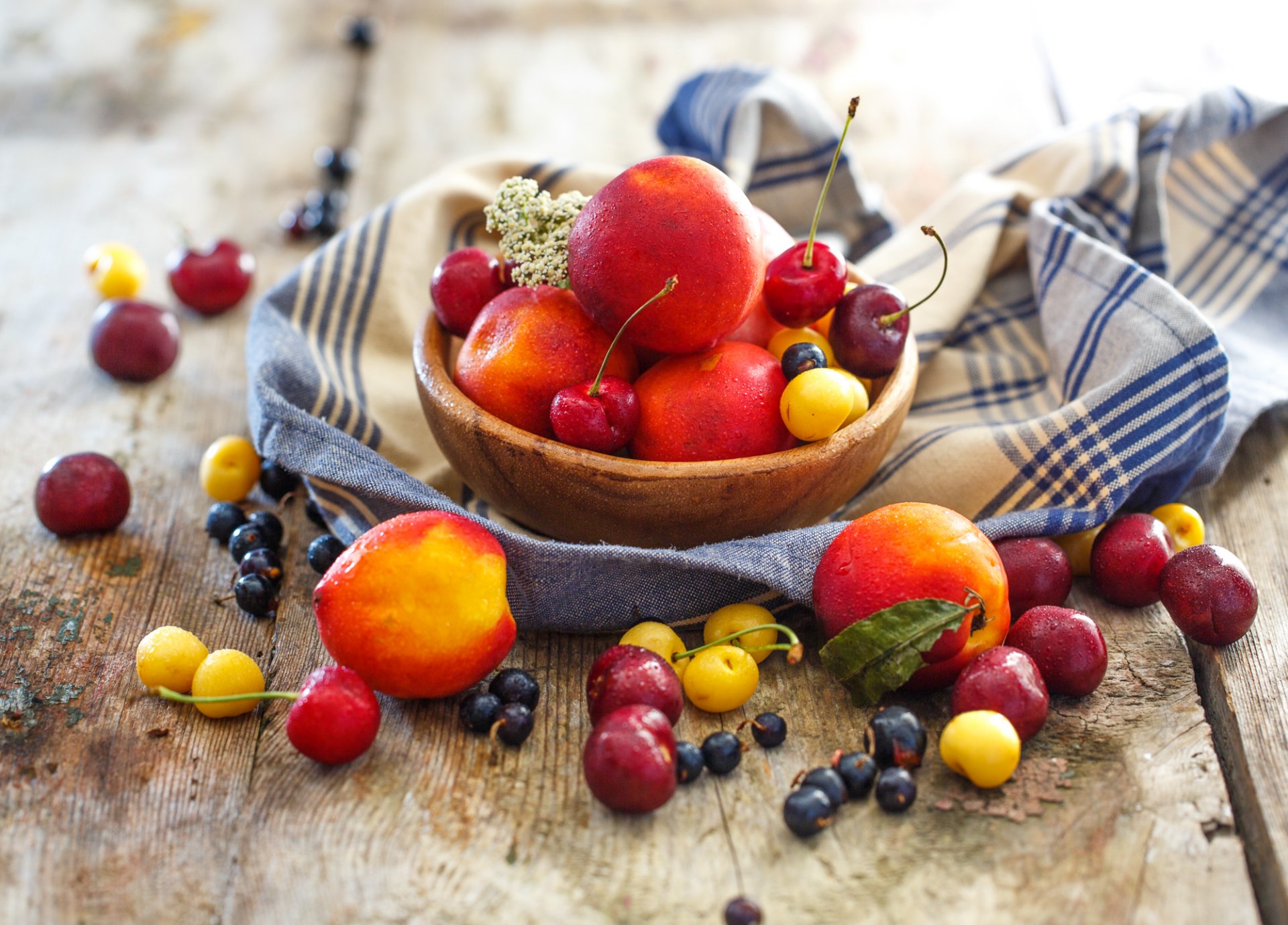 nektarine pfirsiche früchte beeren kirschen johannisbeeren teller stillleben sommer julia husainova