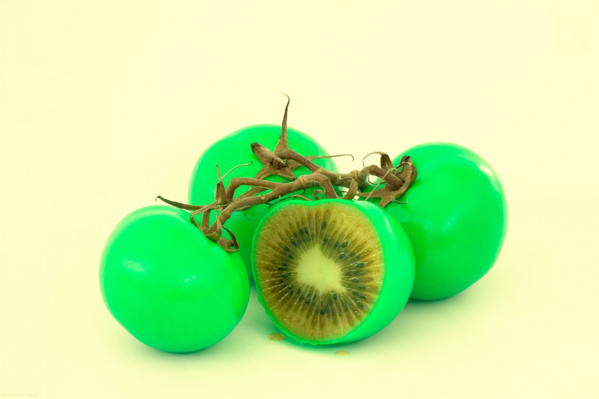 genetyka pomidory kiwi