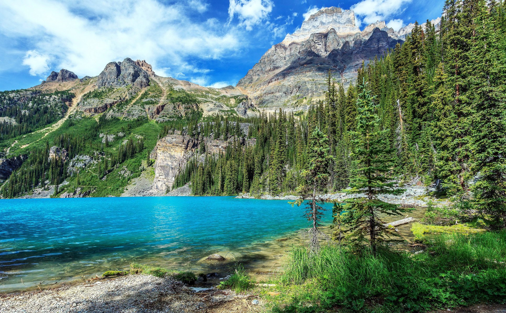 yoho national park канада парк горы озеро лес пейзаж природа