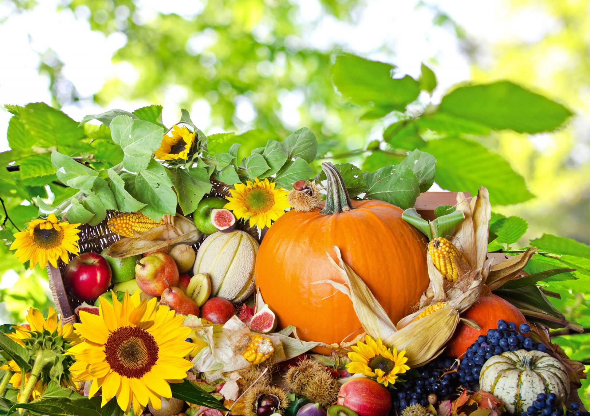 essen herbst obst gemüse