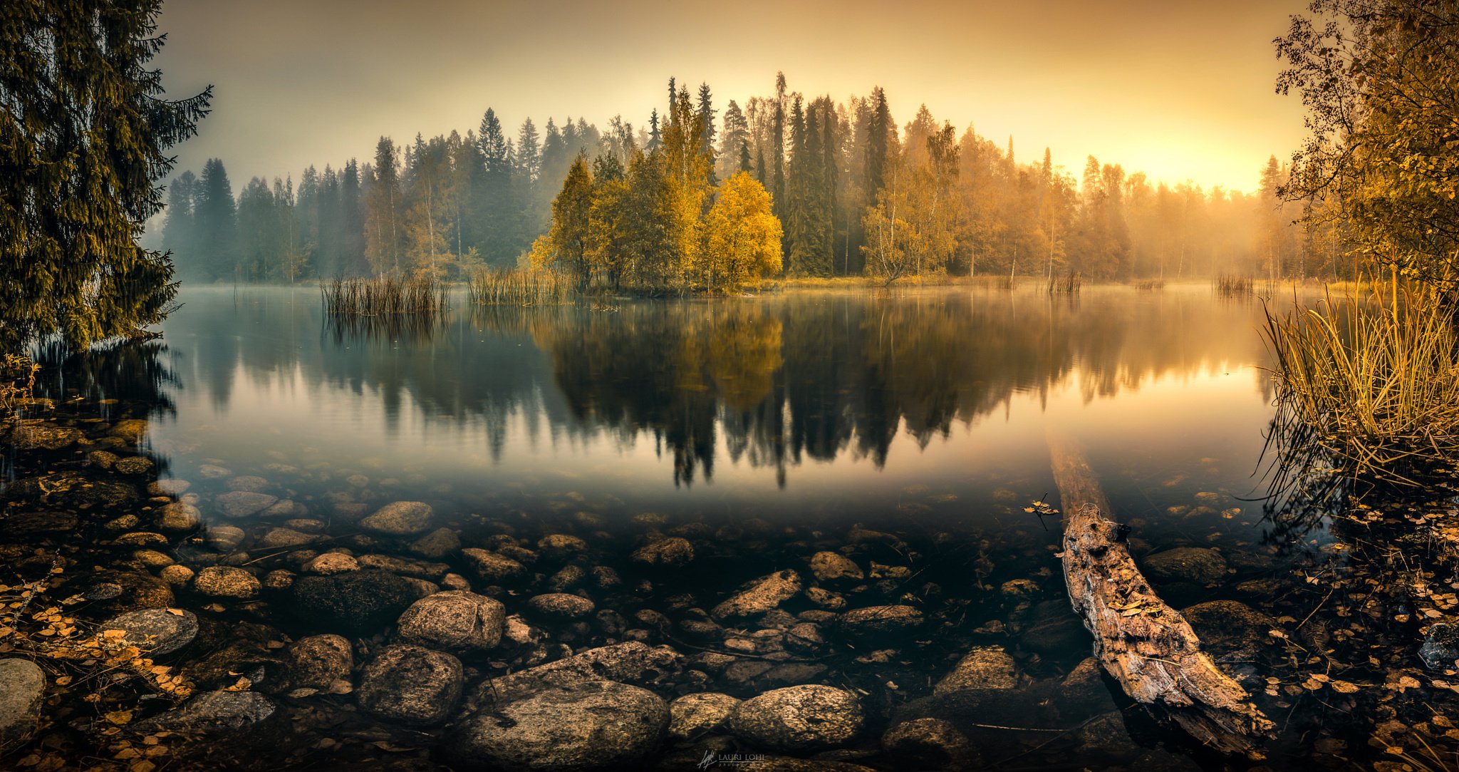 natura staw jezioro jesień piękne mgła las