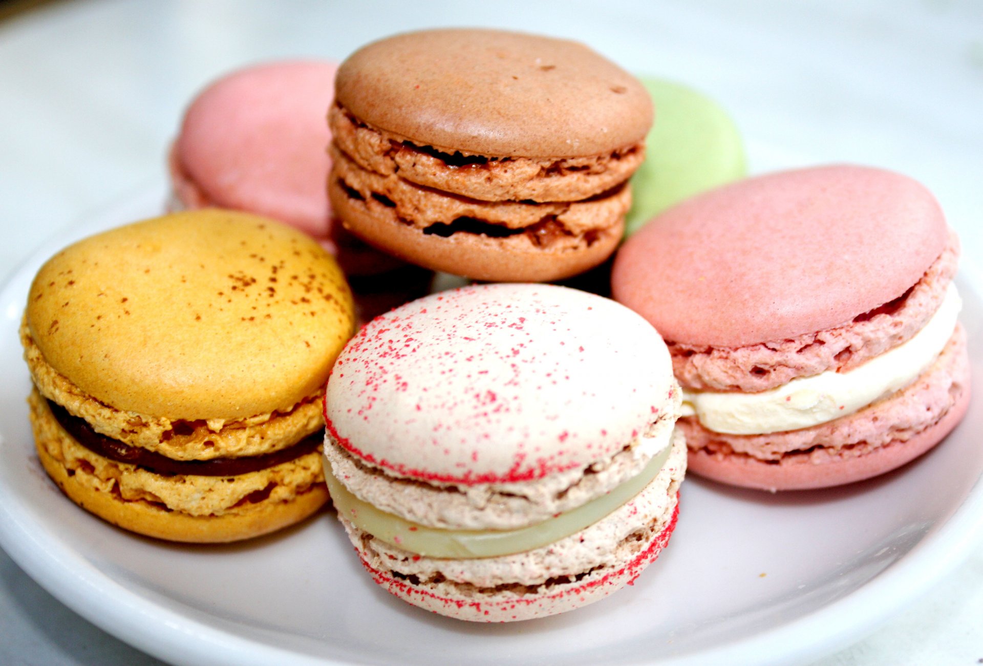 biscuits macaron divers de couleur