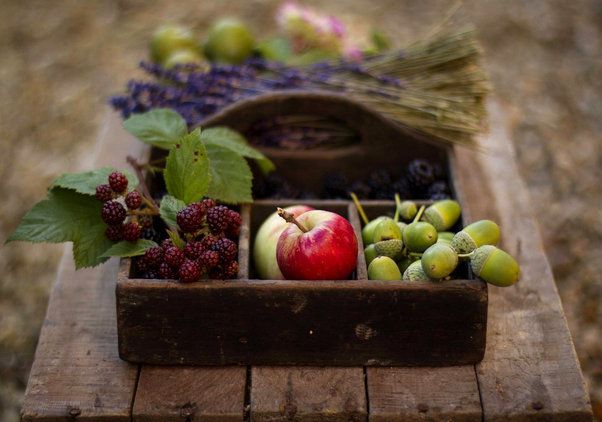 manzanas moras bellotas frutas bayas lavanda cesta mesa otoño